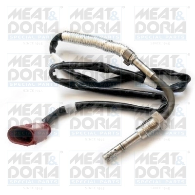 Sensor, exhaust gas temperature